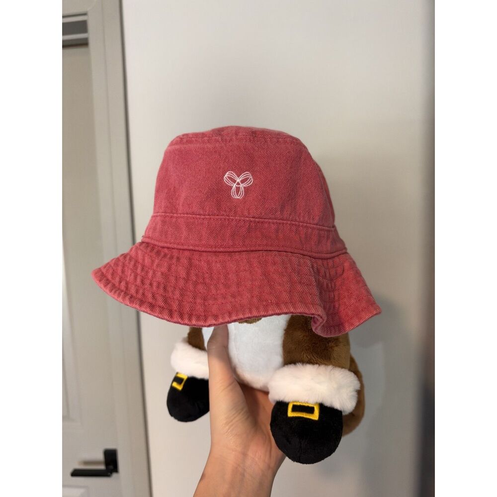 Aritzia TNA Hat